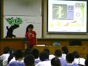 初一英語protecting our environment教學視頻牛津英語深圳版韓袁