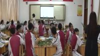 《插花藝術》2016年初中勞動與技術優秀課課堂教學實錄-易璐2016