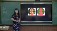 《裝飾色彩》小學(xué)美術(shù)人美版-武漢市
