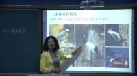 第六節《鳥》初中生物人教版-大石橋市第三初級中學