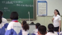 第二節《探究環境污染對生物的影響》天津市濱瑕實驗中學