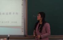 《難溶電解質的溶解平衡》說課-左金鑫_北京市中小學教師教學基本功展示一等獎