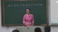 全國中學歷史錄像課評比視頻七年級探究《清明上河圖》展現的社會風貌-大連嘉匯中學