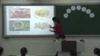 2017年小學品德課堂教學優質課評比視頻《花草樹木點頭笑》張麗