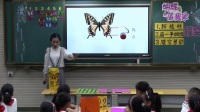 湘美課標(biāo)版四年級(jí)上冊(cè)14.《蝴蝶落我家》-湖北省國家及優(yōu)質(zhì)課