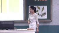 小學美術人教版二年級下冊第8課《葉子上的小“血管”》-湖南省 - 郴州國家級優質課錄像視頻