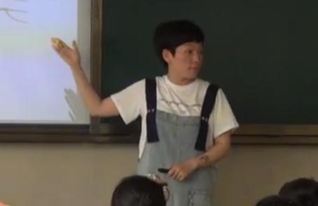 小學英語人教(PEP)版三年級起點四年級下冊Unit4 At the farm B Let’s talk& Let’s learn -溫州市龍灣區實驗小學