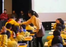 第三屆全國小學“語文主題學習”課堂教學競賽人教版二年級《丑小鴨》