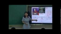 Unit 5 Do you want to watch a game show  Section B 2a-2eĴʡ(gu)Ҽ(j)(yu)|(zh)n