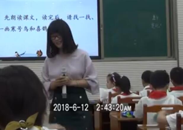2018年河南省小語教研員暨骨干教師培訓二年級上冊《13.寒號鳥》陳靜