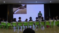 武漢市幼兒教師社會活動課優質課教學比賽《社 一根羽毛也不能動(5-6)1》