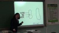 꼉˽̰σԵڶԪڶµĹ(ji)μ-
