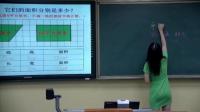 小學數學人教版五年級上冊6平行四邊形的面積-湖北省京山
