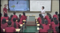 ӢZ˽̰x޾Unit4Exploring PlantsFlowers and Their Animal Pollinatorsʡ - l