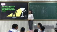 高中英語人教課標(biāo)版B2U5 Freddy the Frog寧夏