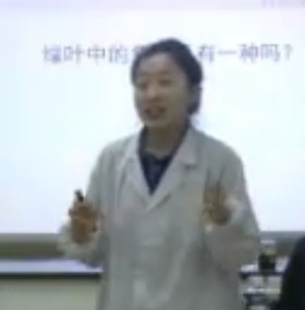 高中生物實(shí)驗(yàn)微課片段教學(xué)_綠葉中色素的提取與分離_海南