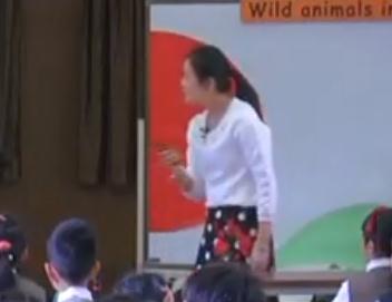 ϺСWӢZB(yng)̌WO(sh)Ӌn07ţ2AM4U2-2 Wind animals in the forest