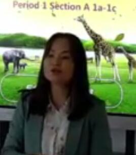 Go for it Ŀ(bio)ӢZ꼉Unit5 Why do you like pandas SectionA1a-1cʡ(yu)n
