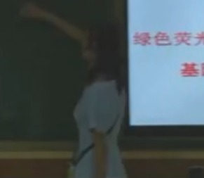 福建省高中生物優(yōu)質(zhì)課比賽視頻_基因指導蛋白質(zhì)的合成(第1課時轉(zhuǎn)錄)