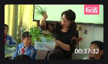 浙教版科學八年級下冊4.3 植物的根與物質吸收(第一課時)浙江省- 義烏
