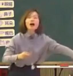 СW꼉ƌWyԇT[]