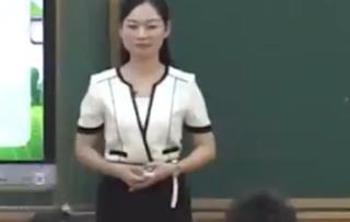 第三屆全國統編部編版小學語文優質課三年級下冊第7課《鹿角和鹿腿》江西