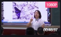 ֽ̲đʾnа꼉nMԭ