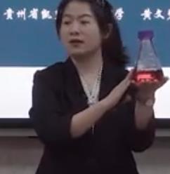 第十一屆全國(guó)高中青年數(shù)學(xué)教師優(yōu)質(zhì)課大賽《橢圓及其標(biāo)準(zhǔn)方程》貴州—黃