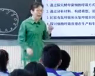 統(tǒng)編教材人教版高一必修一《細胞呼吸的原理和應用》山東省桓臺